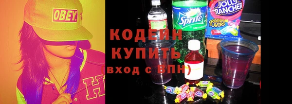 прущие грибы Абаза