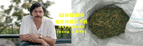 прущие грибы Абаза