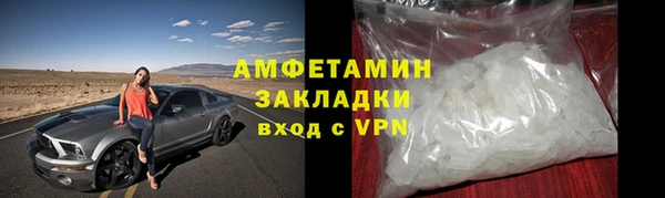 прущие грибы Абаза