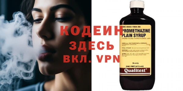прущие грибы Абаза