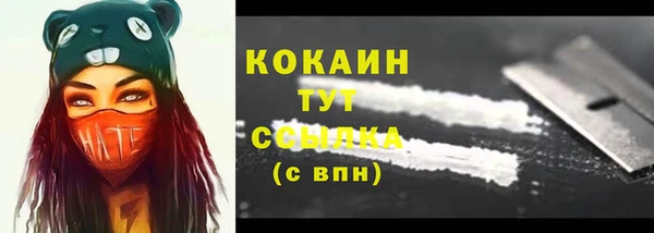 прущие грибы Абаза