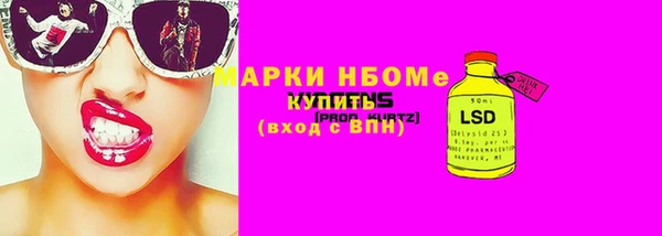 прущие грибы Абаза