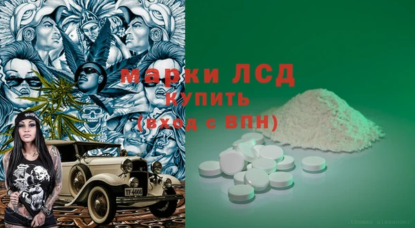 прущие грибы Абаза
