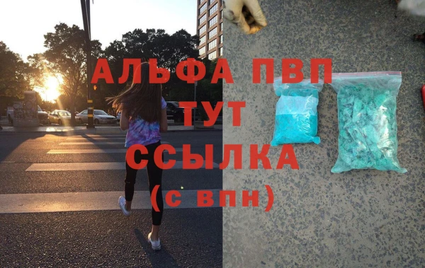 прущие грибы Абаза