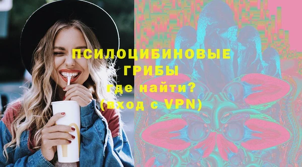 прущие грибы Абаза