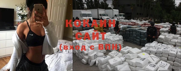 прущие грибы Абаза